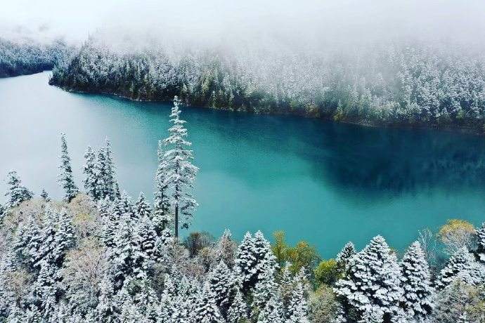 雪景