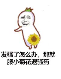 退骚针