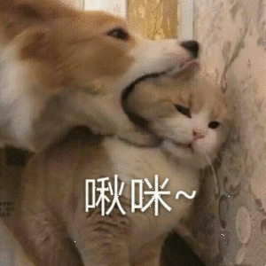 。!