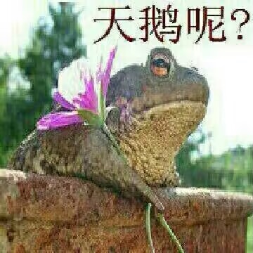 舔额