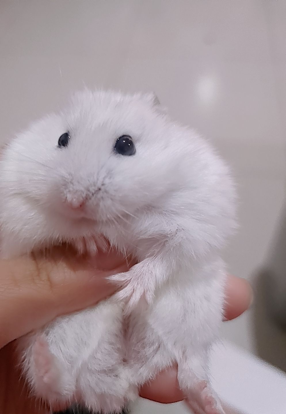 。