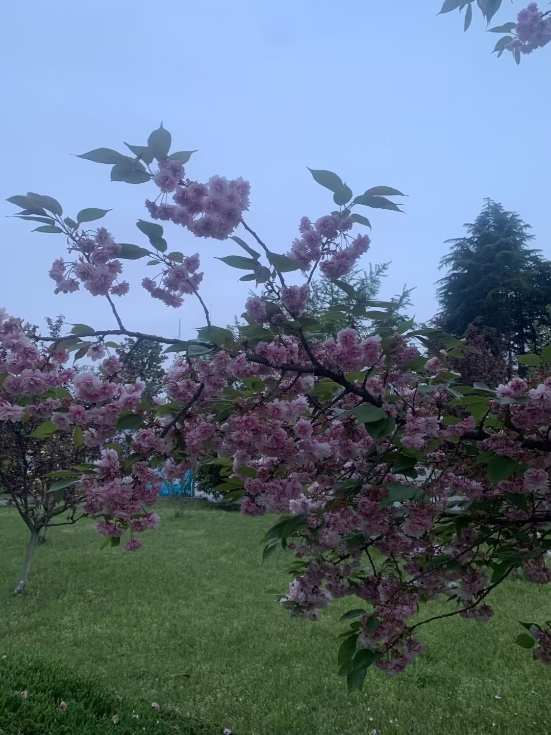 。