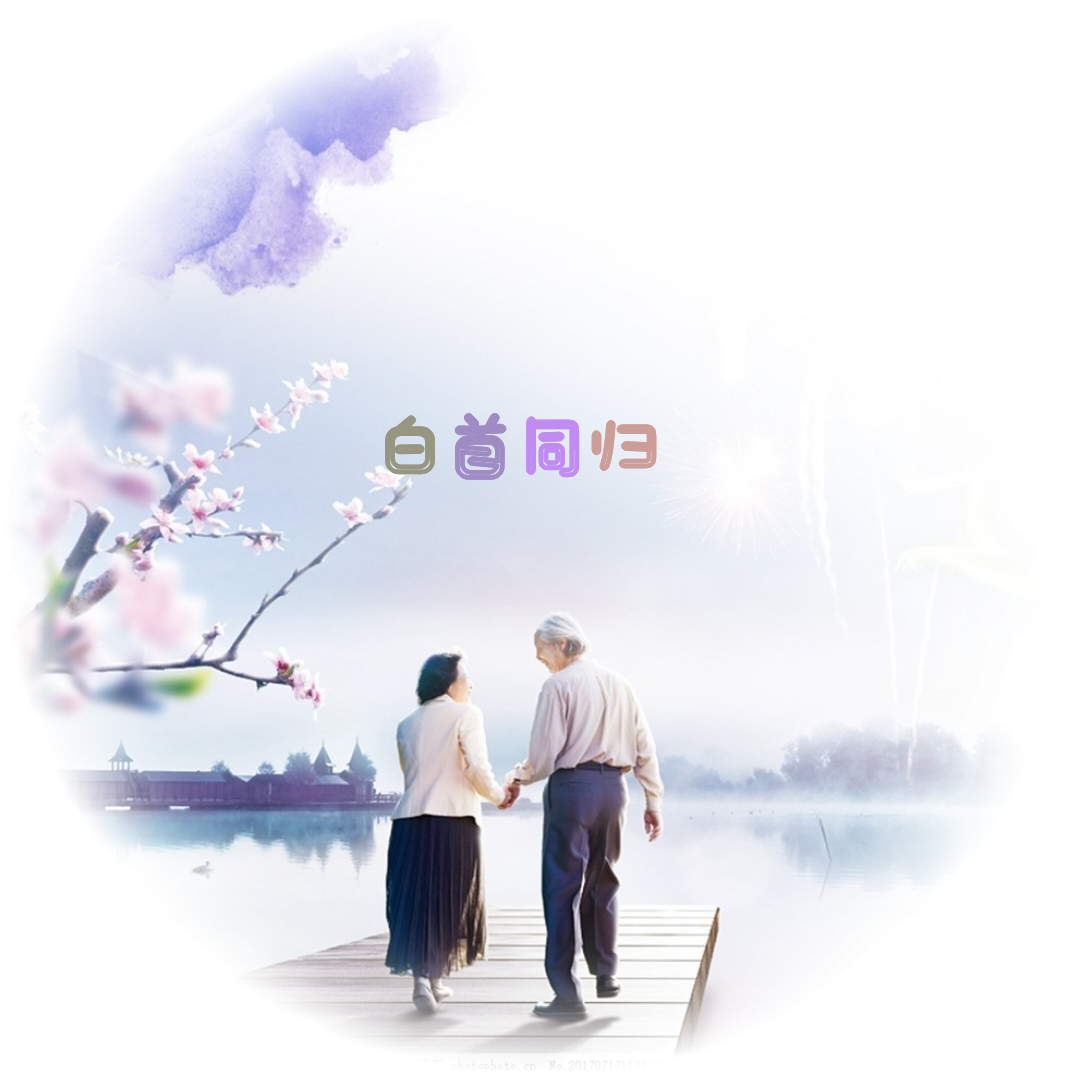 白首同归