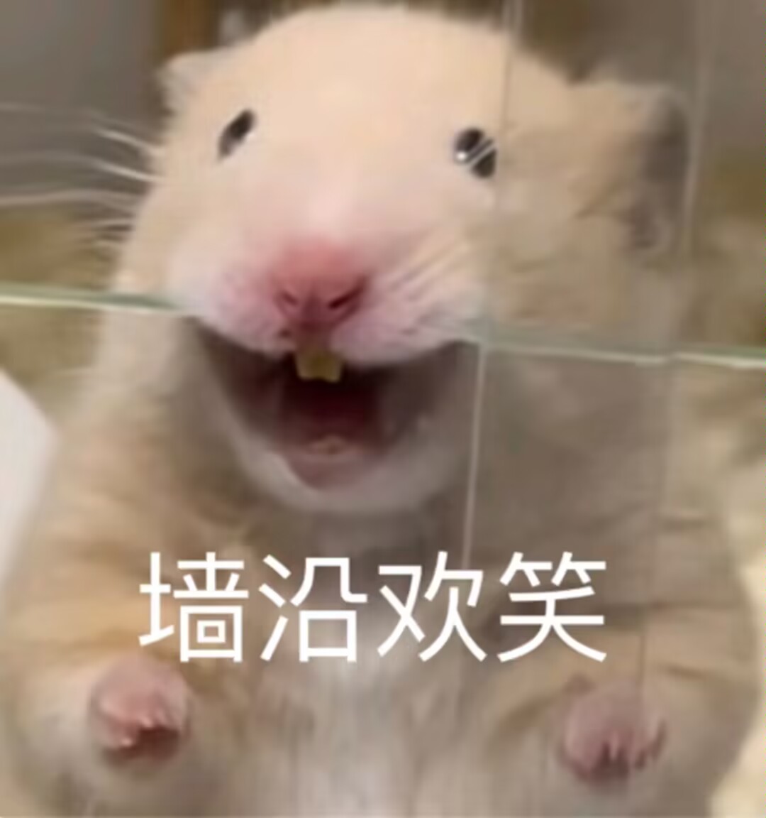 强颜欢笑