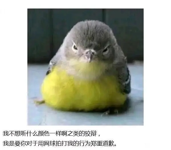 Aa