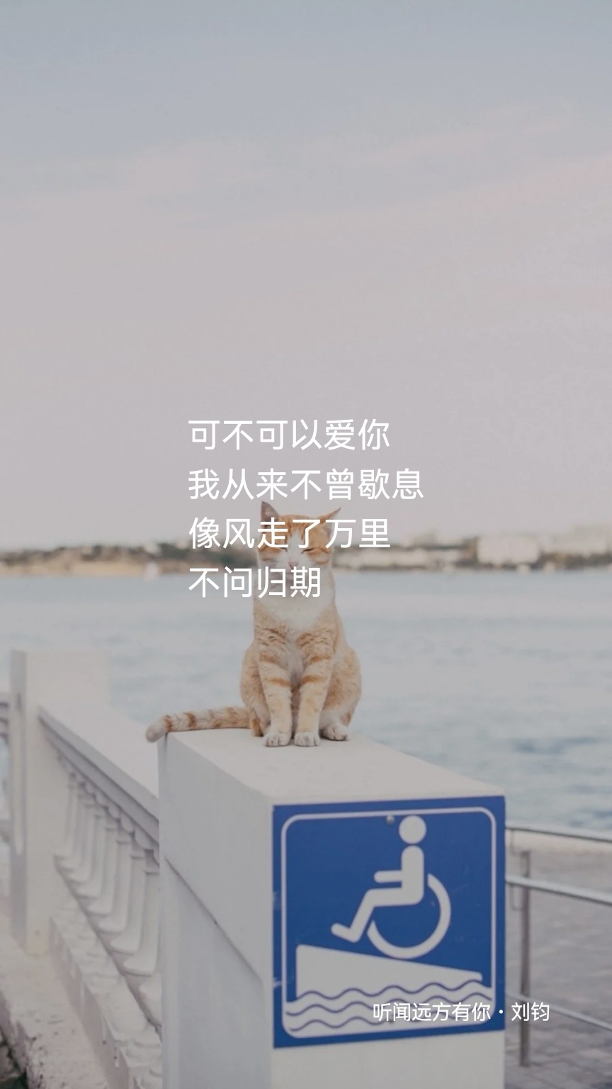 ，