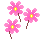 粉色花