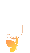 蝴蝶黄色