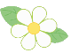 绿绿花