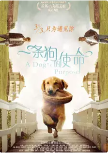 50145+瑾柠+最难忘的电影