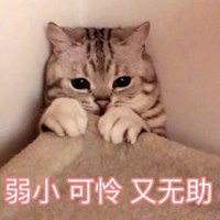 起床搬砖
