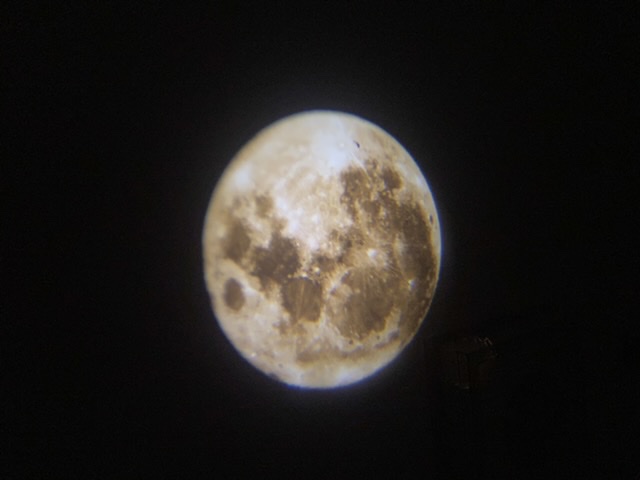 至尊礼包收到了