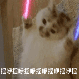 丫丫～水起来！！！