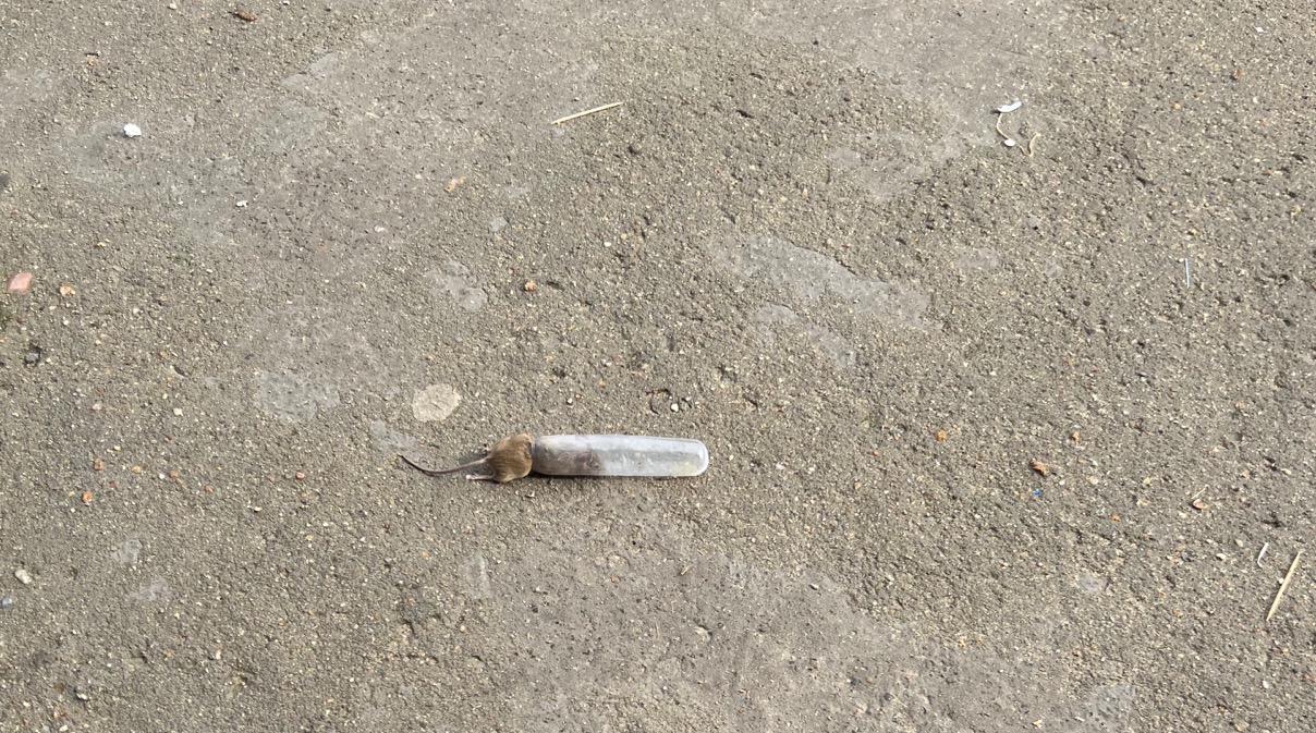 　　我不能理解（胆小勿入）