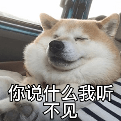 又是阳光明媚的一天