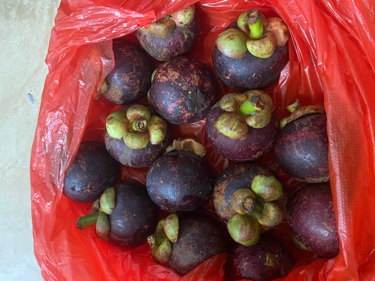 真心寻妻 带回来宠的