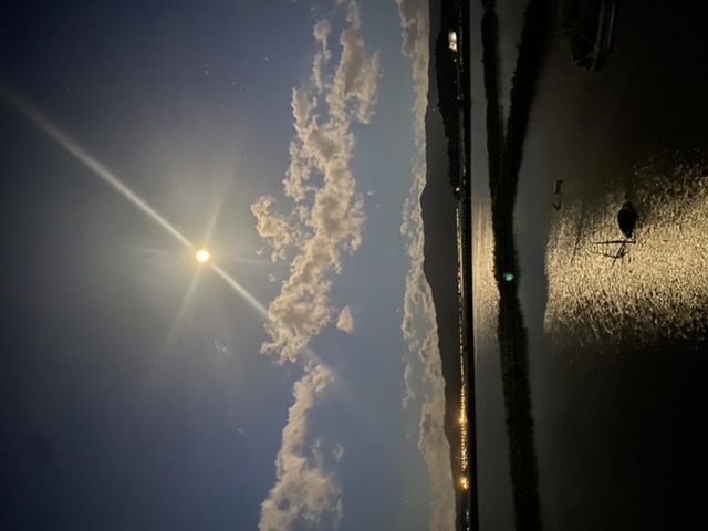 月光