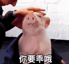 　　　　┊☆　　你要乖哦