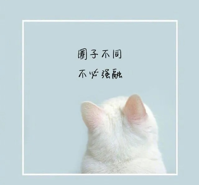 圈子不同不必强融