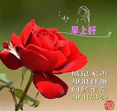 早安
