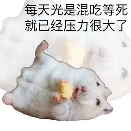 　　　这个季节蚊子为啥还活着
