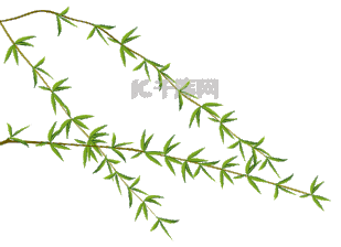 徒徒发的帖子真好看