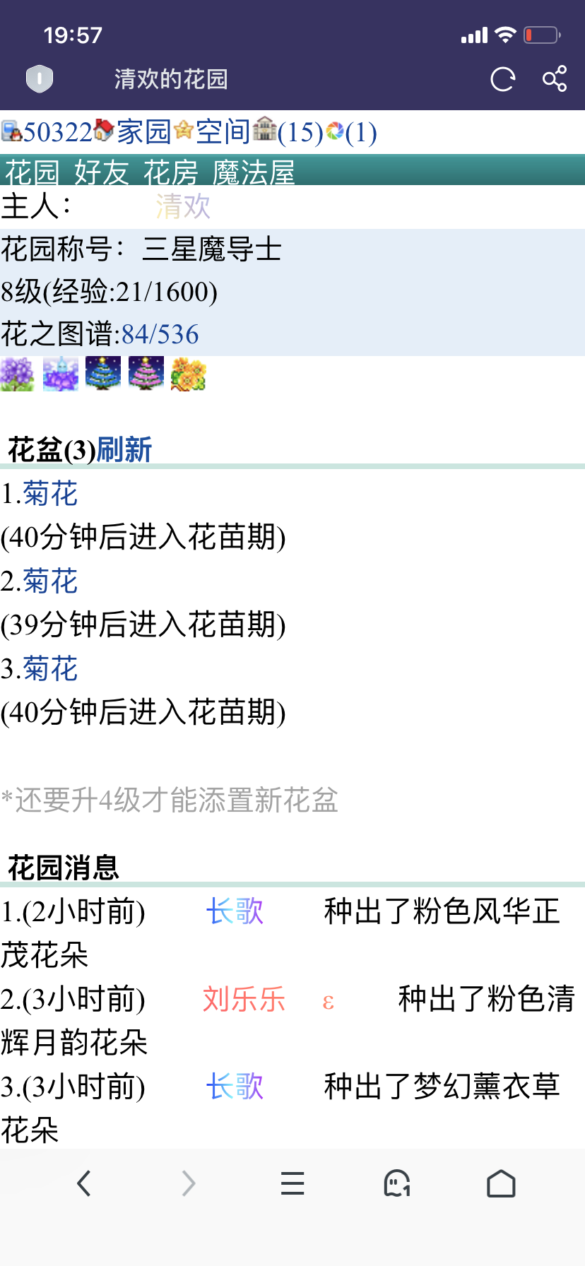 终于有了第三个花盆