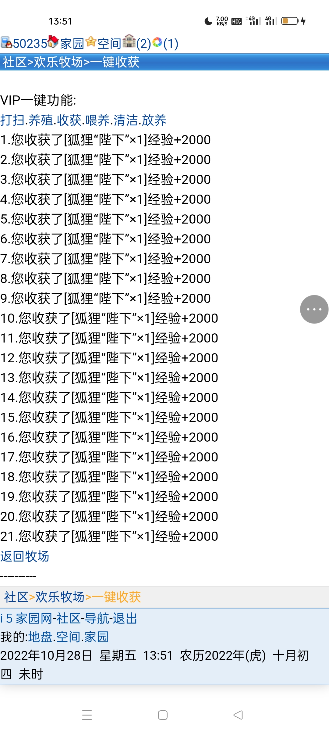 我的狐狸