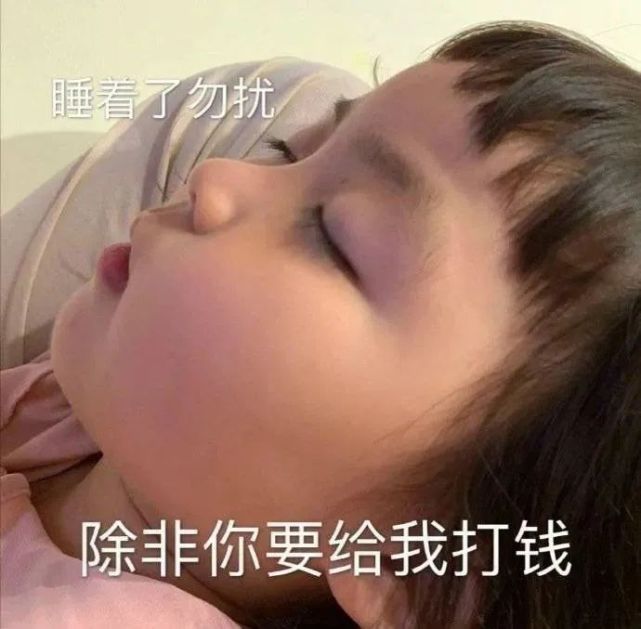 继续睡觉