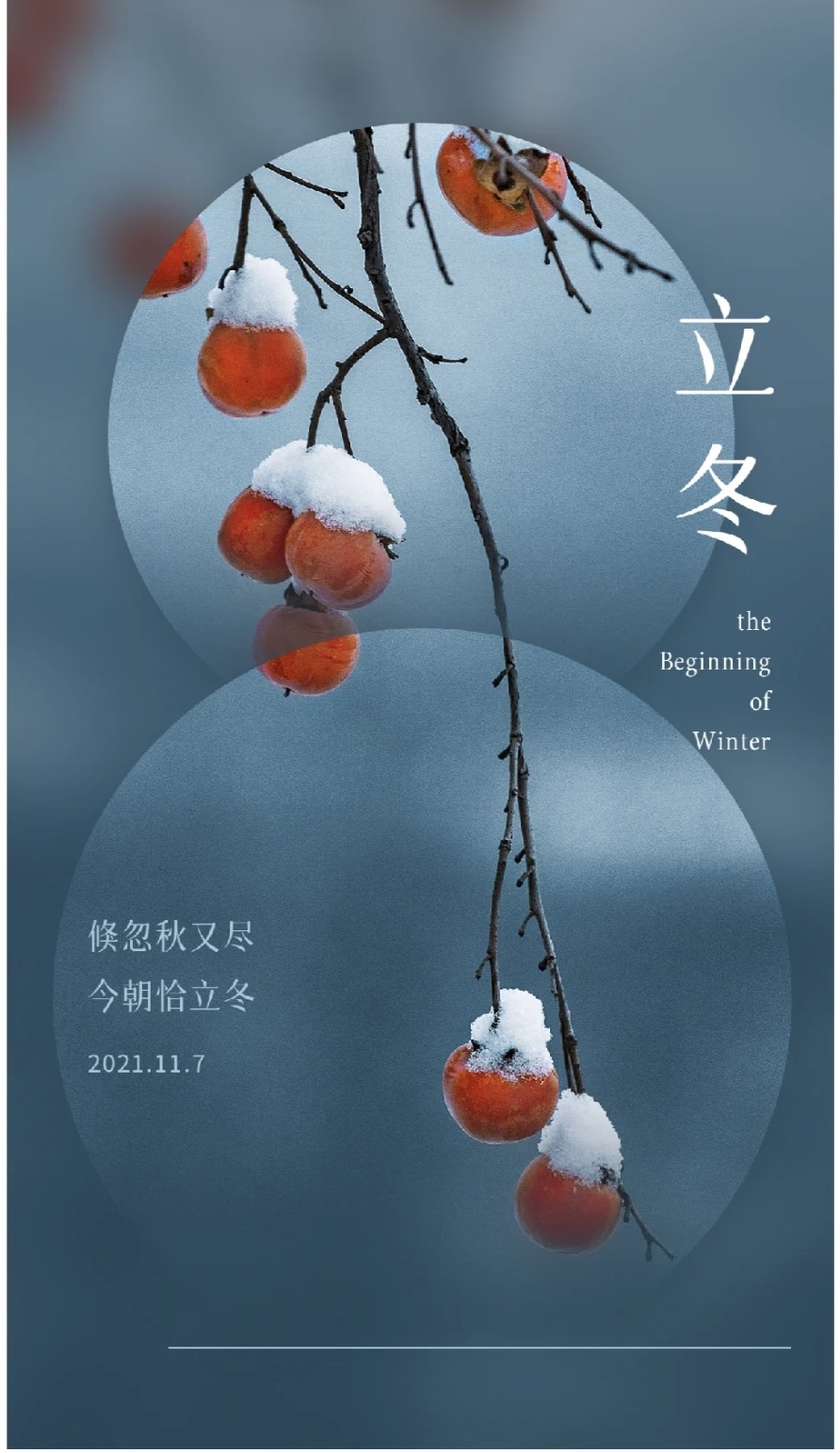 立冬了就不要想秋天的事了