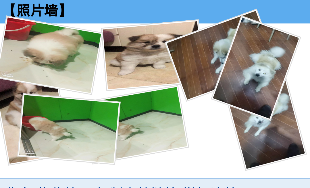照片墙