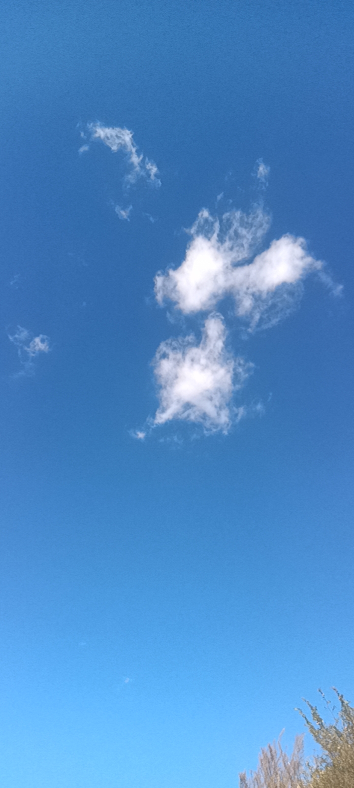 心中向阳、沐浴阳光