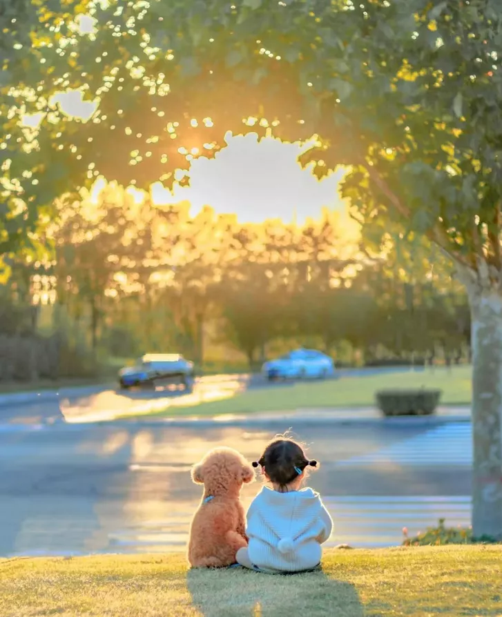 晚风知我意，微凉又深情。