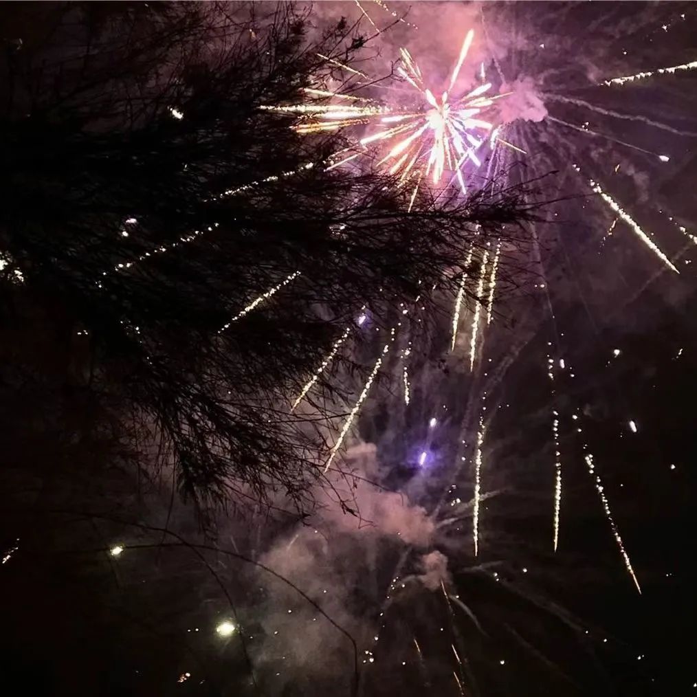 辞慕尔尔，烟火年年。