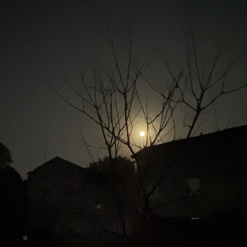　卡利古拉。