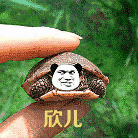 欣儿来收情书