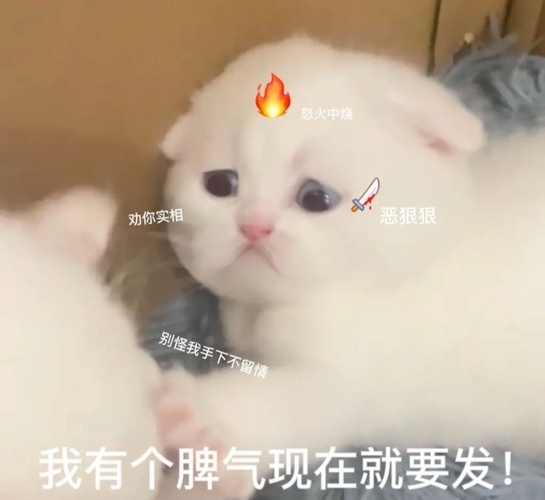 吃饭解忧愁