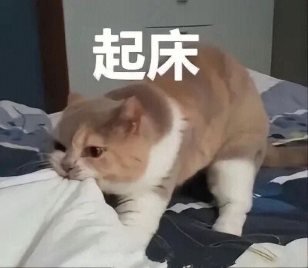 早