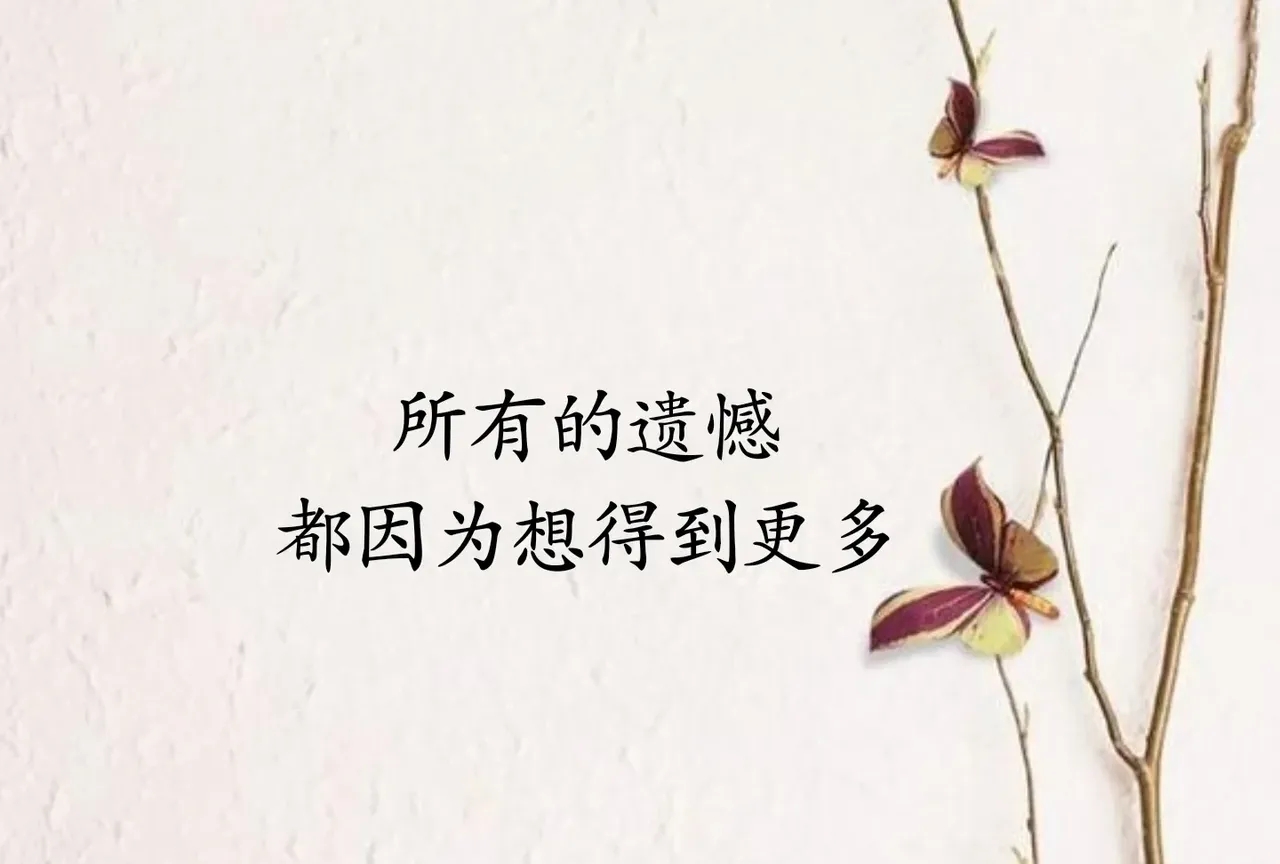所有的遗憾