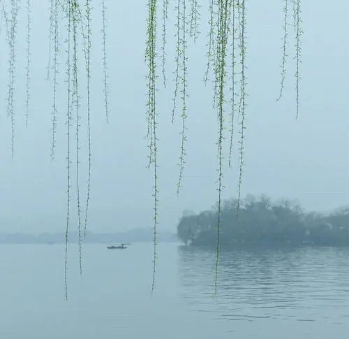 寒初+我最喜欢的颜色