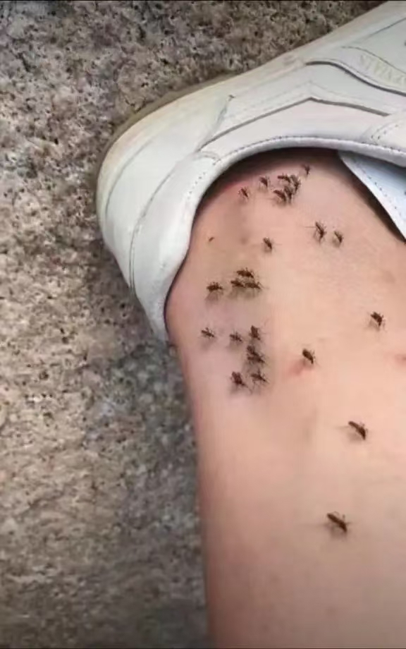 一路走来，全是老师，给我上了一课又一课