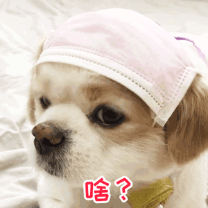 正常的扣扣浏览器上了都难了