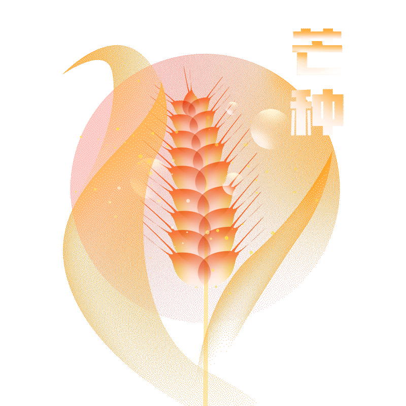 忙收忙种