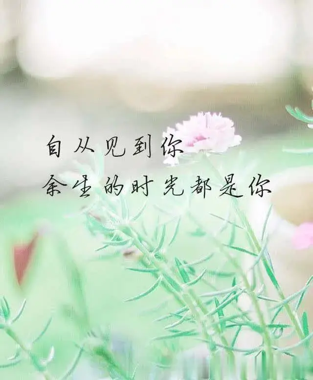 余生的时光都是你