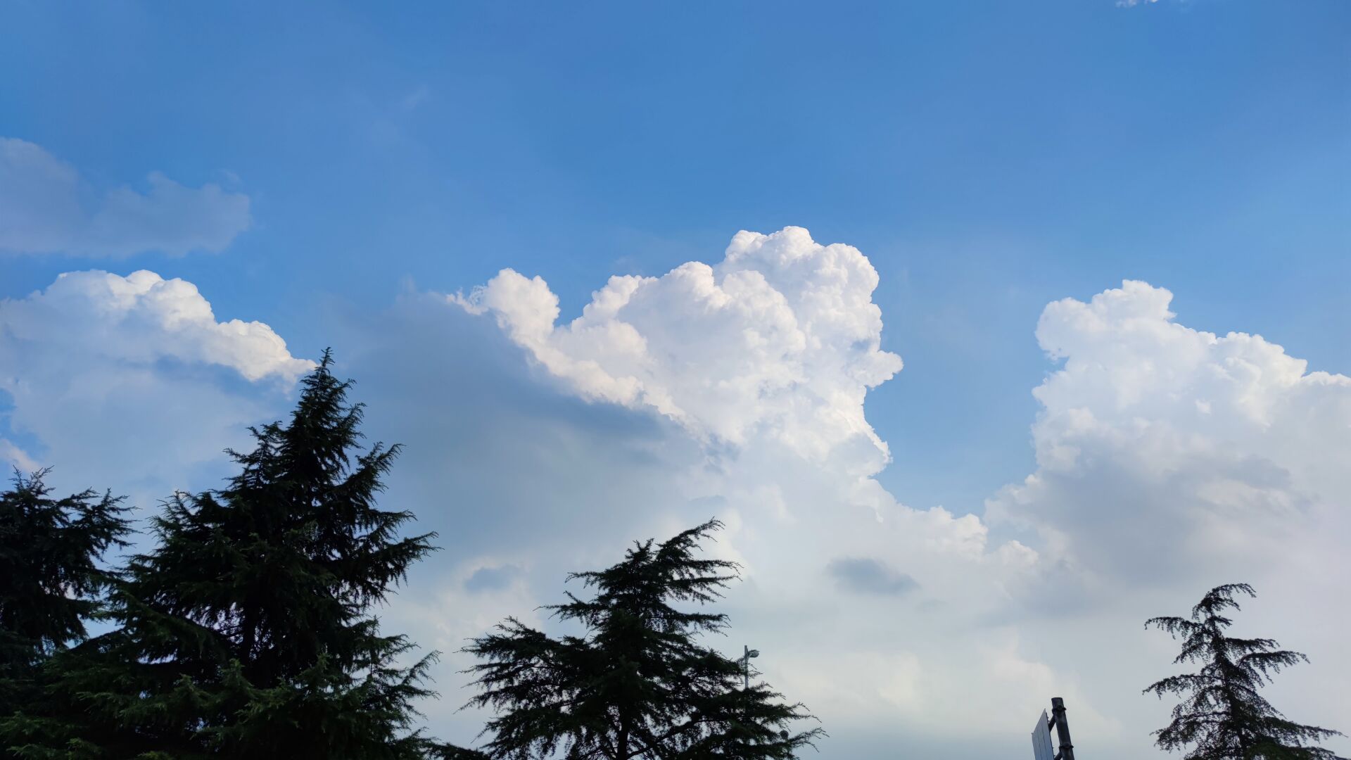 终于要下雨了。