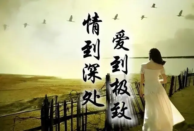 情到深处，爱到极致