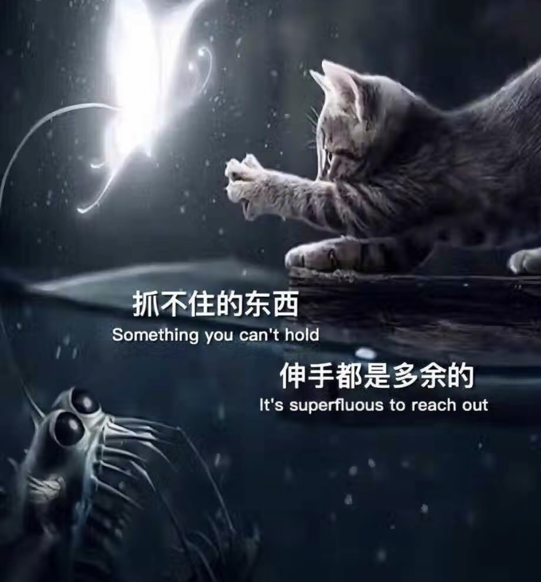 嗯!这活动挺好的~