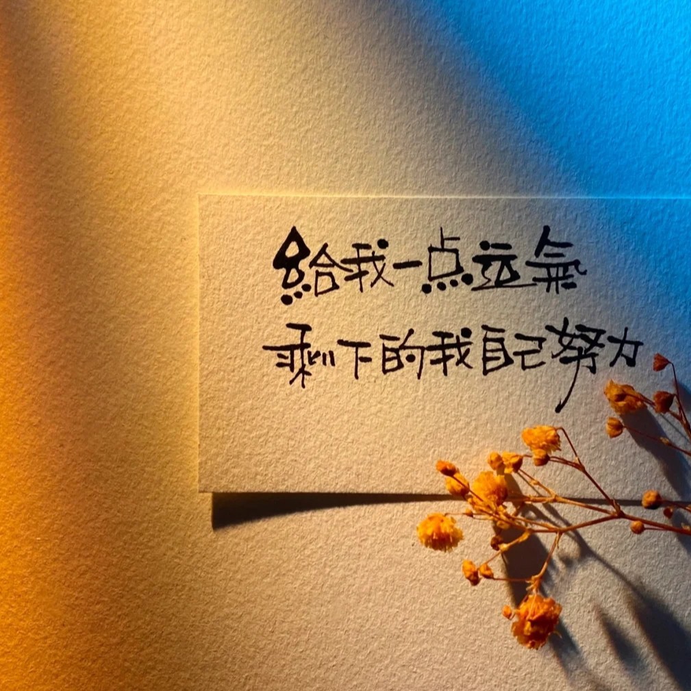 完犊子乐～