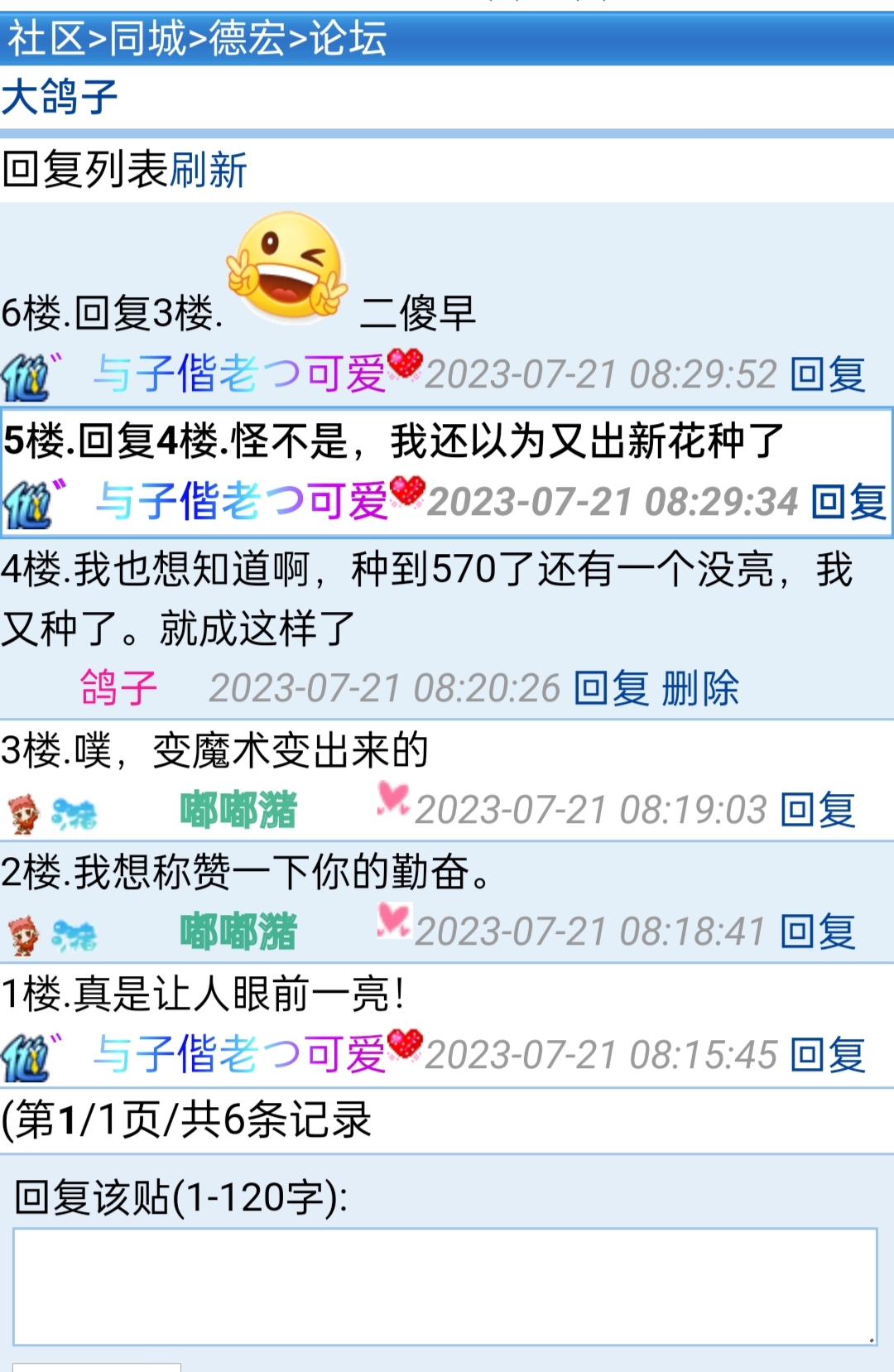 我看到