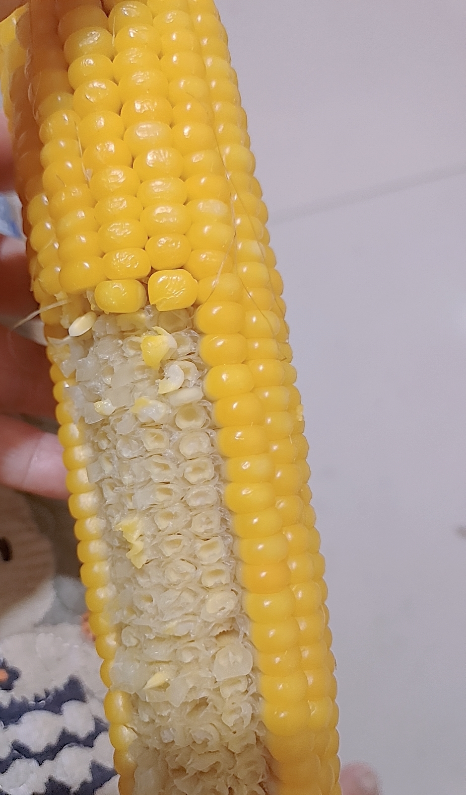 吃玉米吗